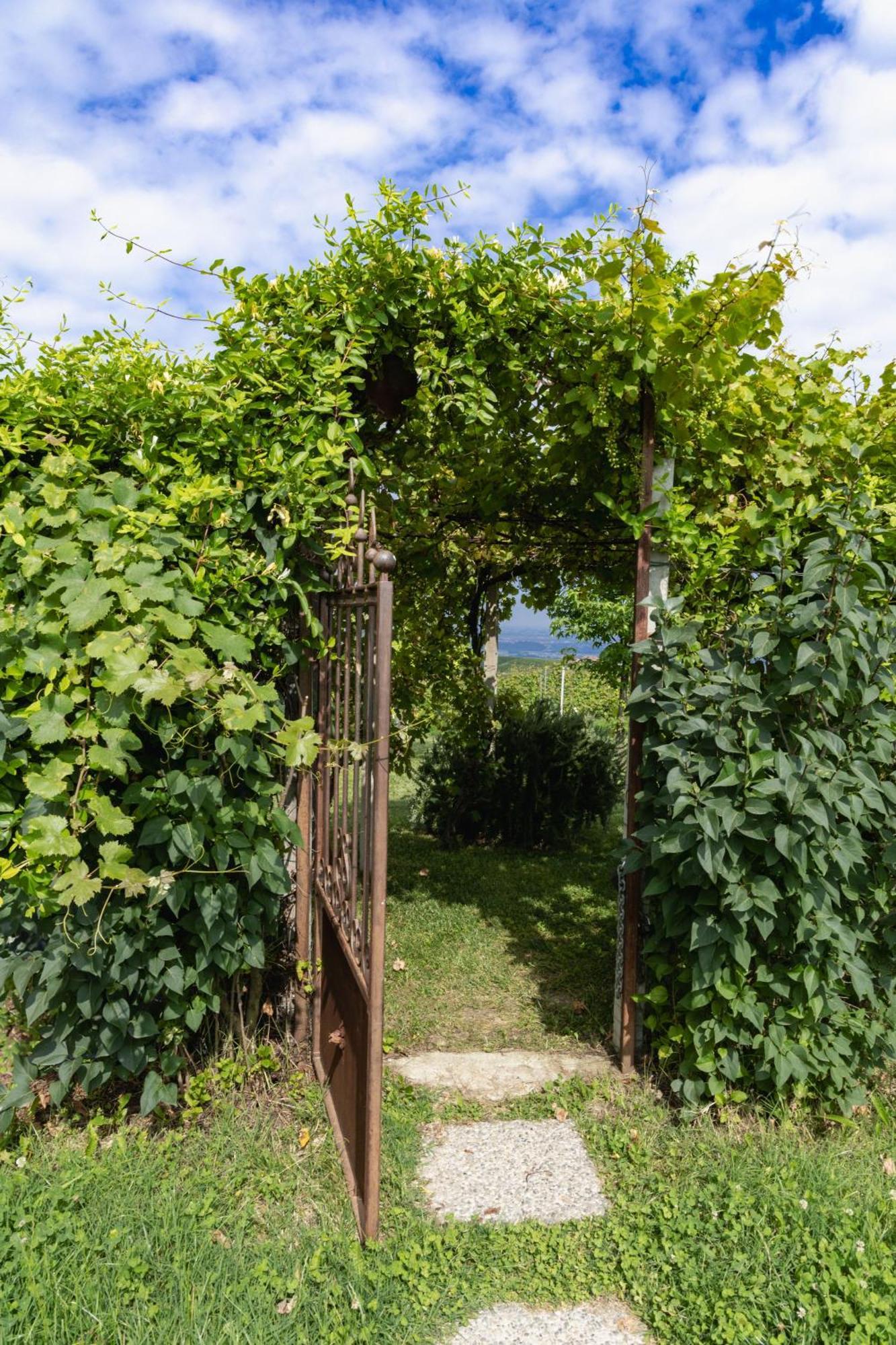 La Cantinella Country House ラ・モッラ エクステリア 写真